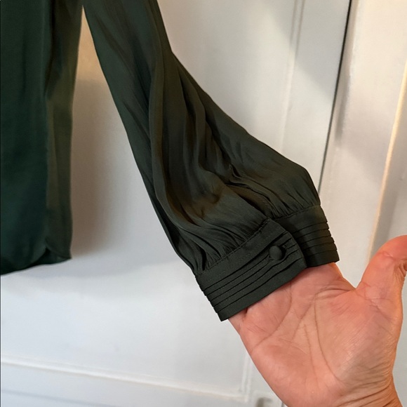 Banana Republic Dark Green V-Neck Button-Front Blouse - Picture 10 of 10